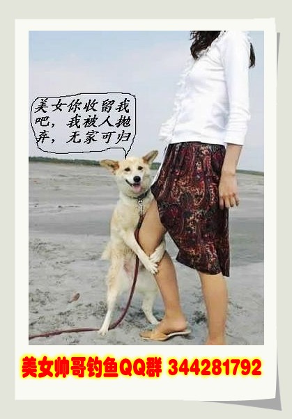 娥罗纳英H软膏治香港脚的海报图片